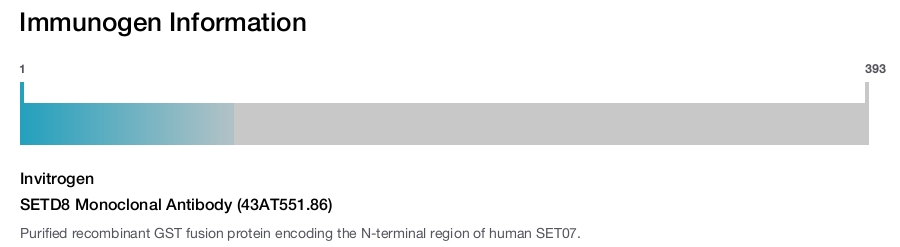 SETD8 Monoclonal Antibody (43AT551.86)