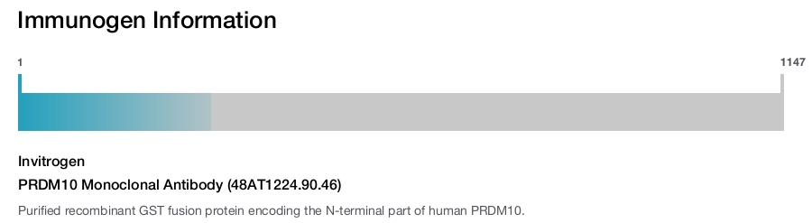PRDM10 Monoclonal Antibody (48AT1224.90.46)