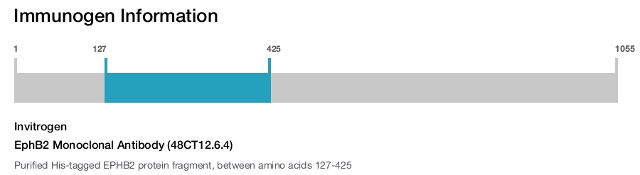 EphB2 Monoclonal Antibody (48CT12.6.4)