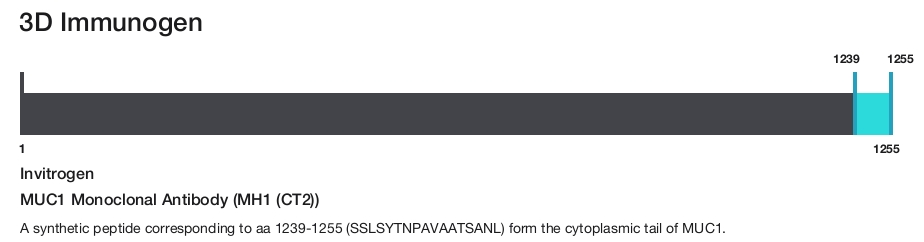 MUC1 Monoclonal Antibody (MH1 (CT2))