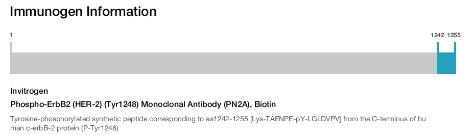 Phospho-ErbB2 (HER-2) (Tyr1248) Monoclonal Antibody (PN2A), Biotin
