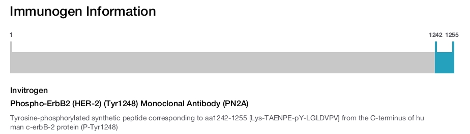 Phospho-ErbB2 (HER-2) (Tyr1248) Monoclonal Antibody (PN2A)