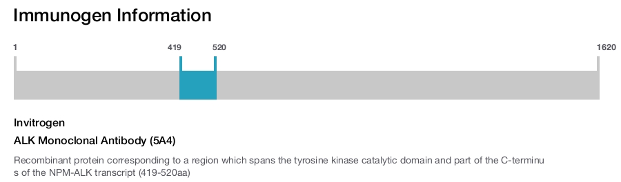 ALK Monoclonal Antibody (5A4)