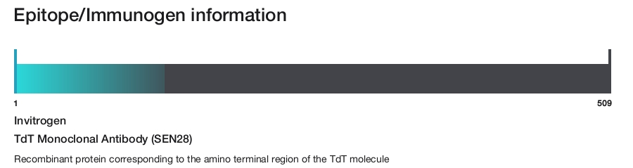 TdT Monoclonal Antibody (SEN28)