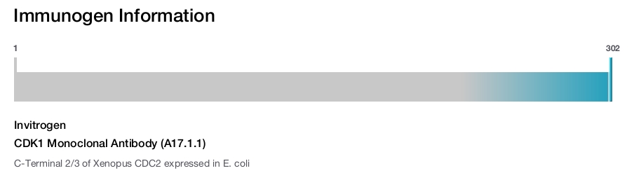 CDK1 Monoclonal Antibody (A17.1.1)