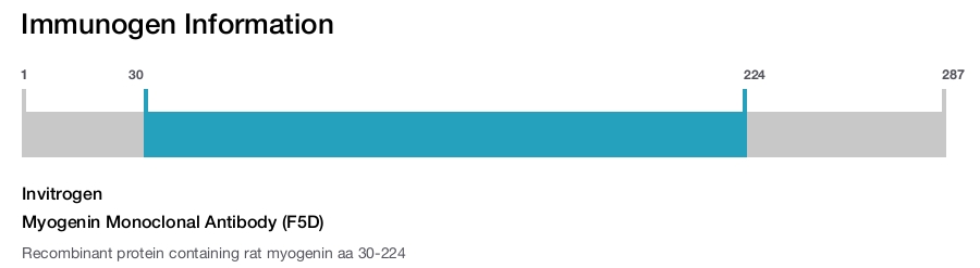 Myogenin Monoclonal Antibody (F5D)
