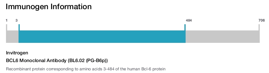 BCL6 Monoclonal Antibody (BL6.02 (PG-B6p))