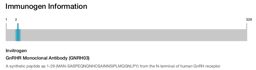 GnRHR Monoclonal Antibody (GNRH03)