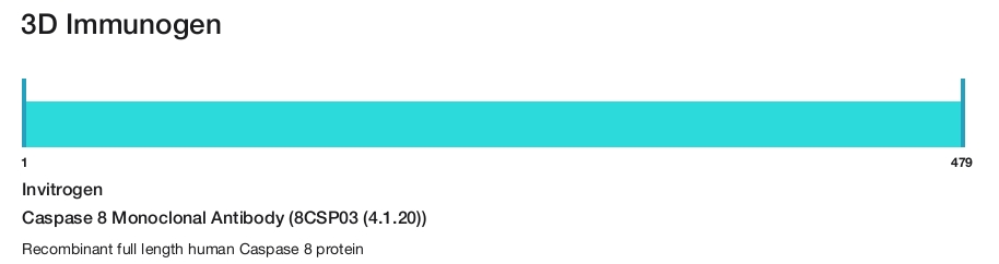 Caspase 8 Monoclonal Antibody (8CSP03 (4.1.20))