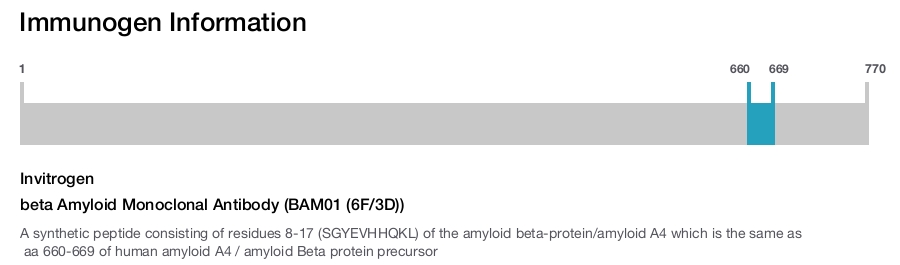 beta Amyloid Monoclonal Antibody (BAM01 (6F/3D))