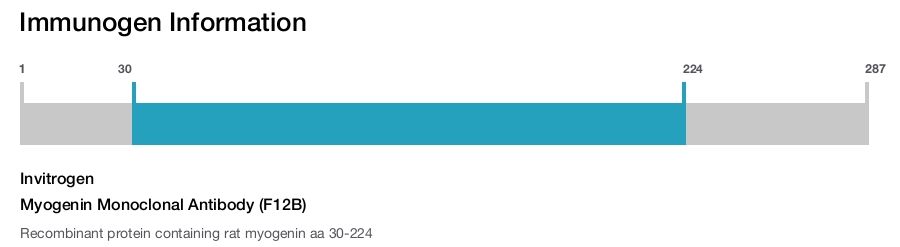 Myogenin Monoclonal Antibody (F12B)