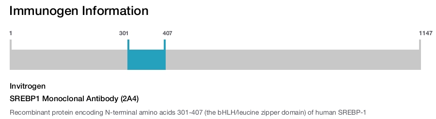 SREBP1 Monoclonal Antibody (2A4)