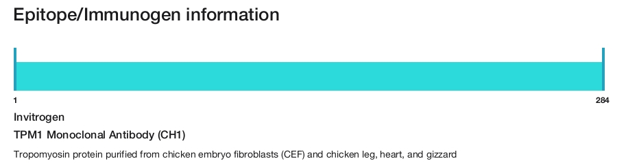 TPM1 Monoclonal Antibody (CH1)