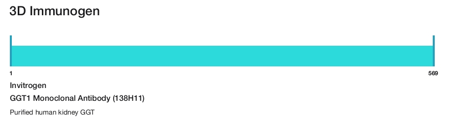 GGT1 Monoclonal Antibody (138H11)