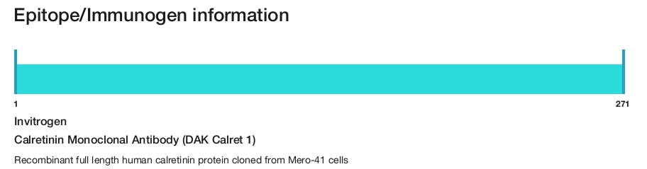 Calretinin Monoclonal Antibody (DAK Calret 1)