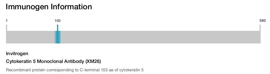 Cytokeratin 5 Monoclonal Antibody (XM26)