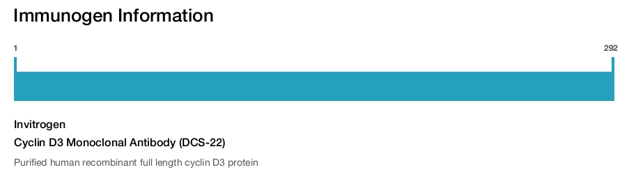 Cyclin D3 Monoclonal Antibody (DCS-22)