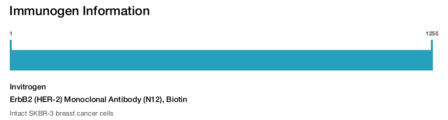 ErbB2 (HER-2) Monoclonal Antibody (N12), Biotin