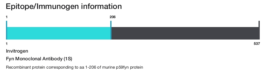Fyn Monoclonal Antibody (1S)