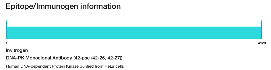 DNA-PK Monoclonal Antibody (42-psc (42-26, 42-27))