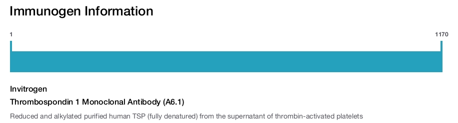 Thrombospondin 1 Monoclonal Antibody (A6.1)