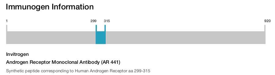 Androgen Receptor Monoclonal Antibody (AR 441)