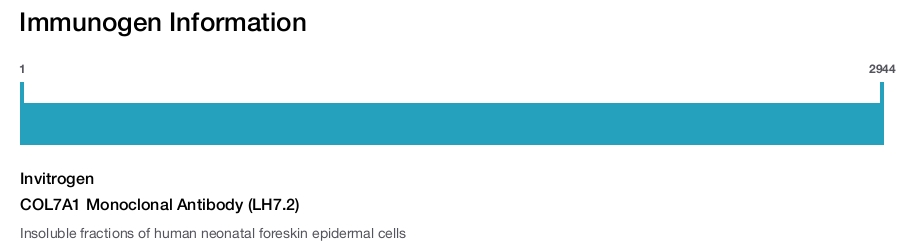COL7A1 Monoclonal Antibody (LH7.2)