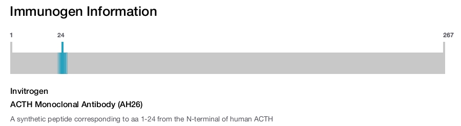 ACTH Monoclonal Antibody (AH26)