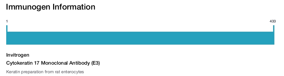 Cytokeratin 17 Monoclonal Antibody (E3)