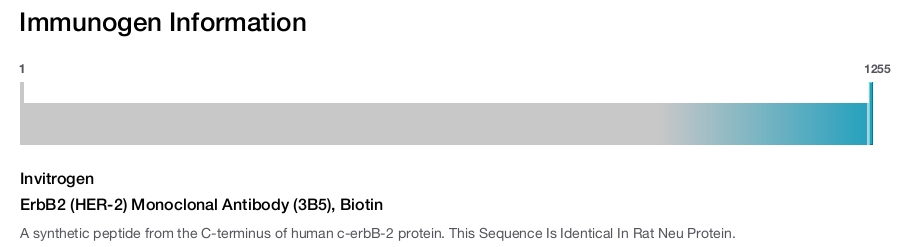 ErbB2 (HER-2) Monoclonal Antibody (3B5), Biotin