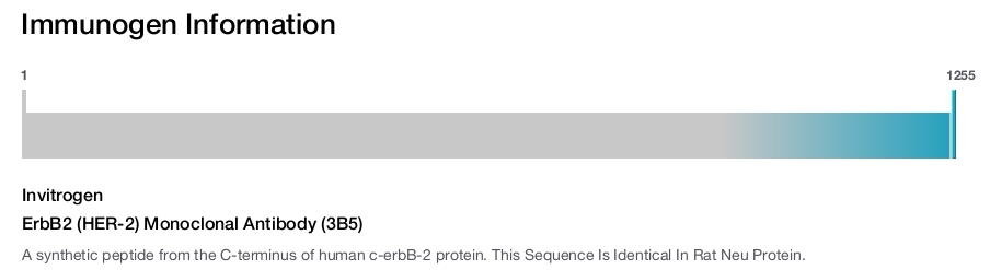 ErbB2 (HER-2) Monoclonal Antibody (3B5)
