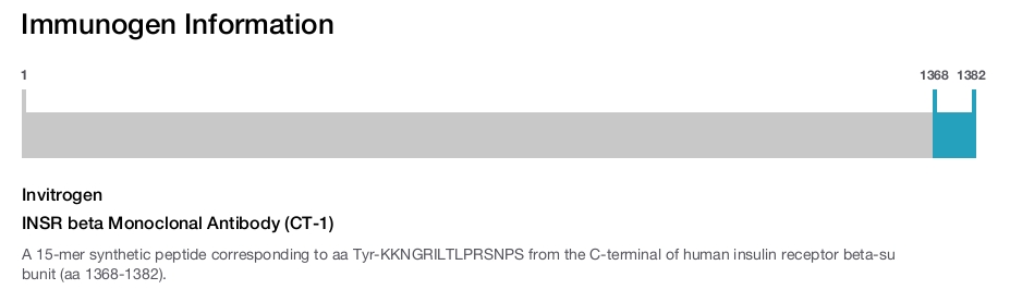 INSR beta Monoclonal Antibody (CT-1)