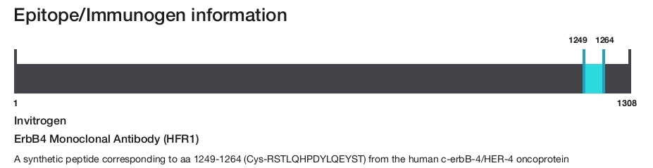 ErbB4 Monoclonal Antibody (HFR1)