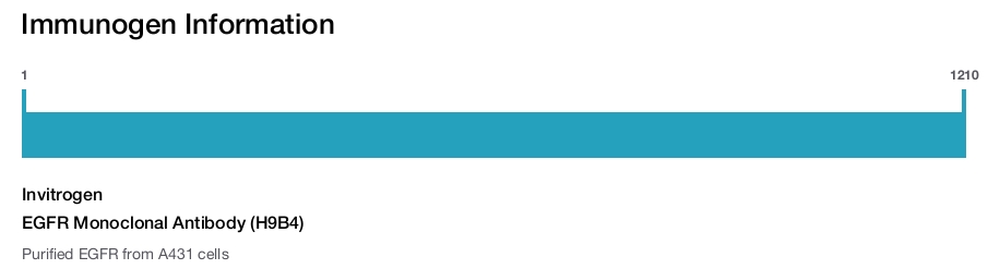 EGFR Monoclonal Antibody (H9B4)