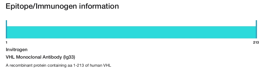 VHL Monoclonal Antibody (Ig33)