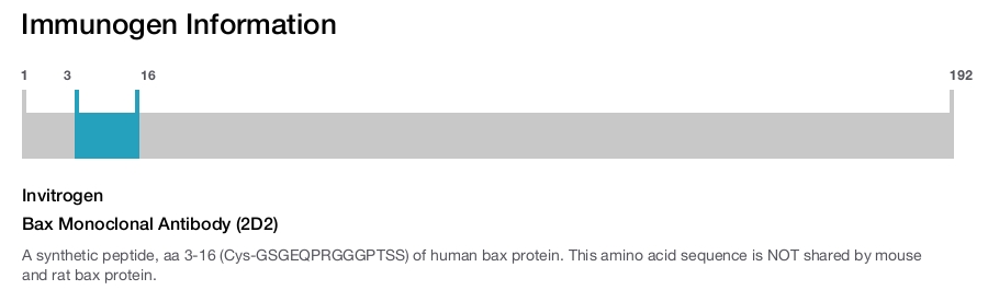 Bax Monoclonal Antibody (2D2)