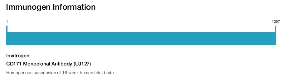 CD171 Monoclonal Antibody (UJ127)