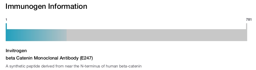 beta Catenin Monoclonal Antibody (E247)