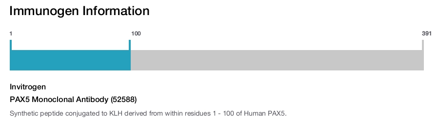 PAX5 Monoclonal Antibody (52588)