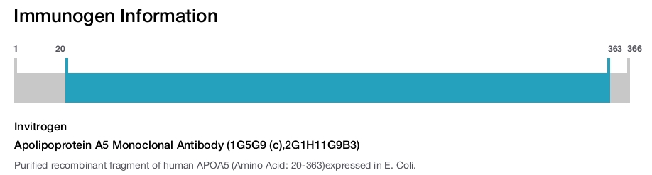 Apolipoprotein A5 Monoclonal Antibody (1G5G9 (c),2G1H11G9B3)