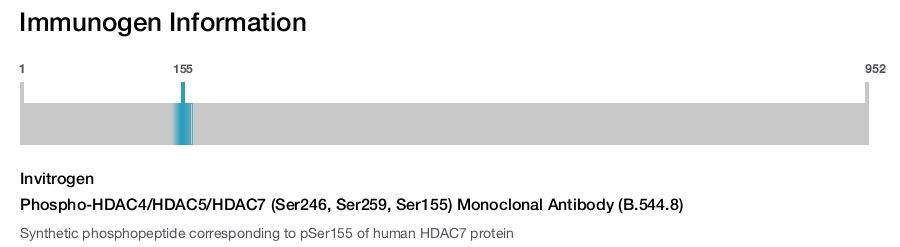 Phospho-HDAC4/HDAC5/HDAC7 (Ser246, Ser259, Ser155) Monoclonal Antibody (B.544.8)