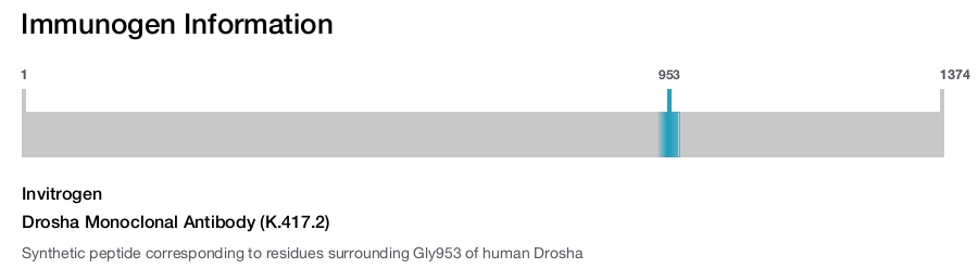 Drosha Monoclonal Antibody (K.417.2)