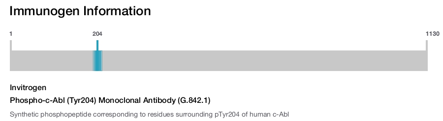 Phospho-c-Abl (Tyr204) Monoclonal Antibody (G.842.1)