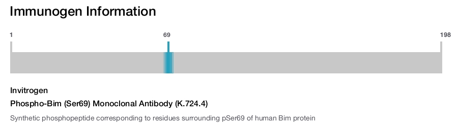 Phospho-Bim (Ser69) Monoclonal Antibody (K.724.4)