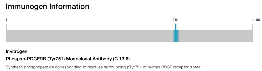 Phospho-PDGFRB (Tyr751) Monoclonal Antibody (G.13.6)