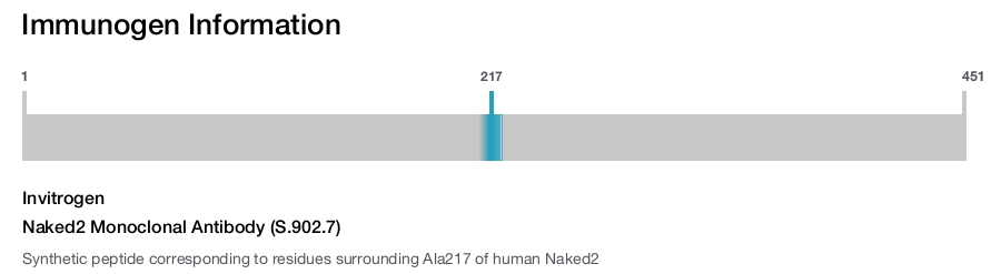 Naked2 Monoclonal Antibody (S.902.7)