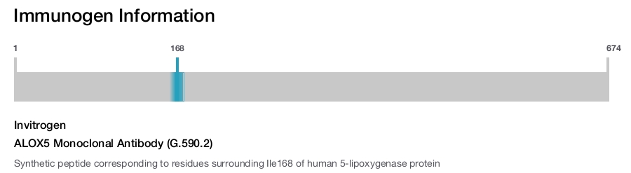 ALOX5 Monoclonal Antibody (G.590.2)