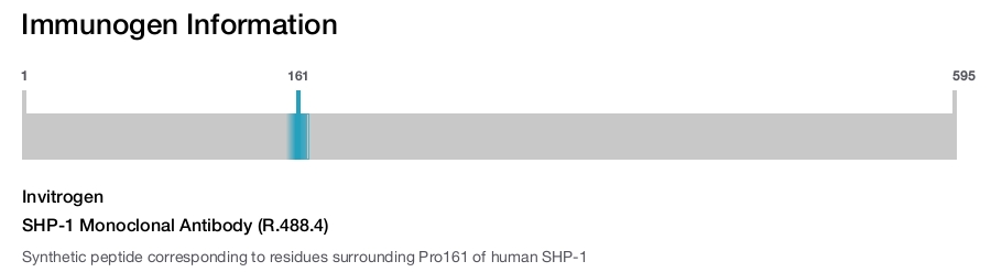 SHP-1 Monoclonal Antibody (R.488.4)