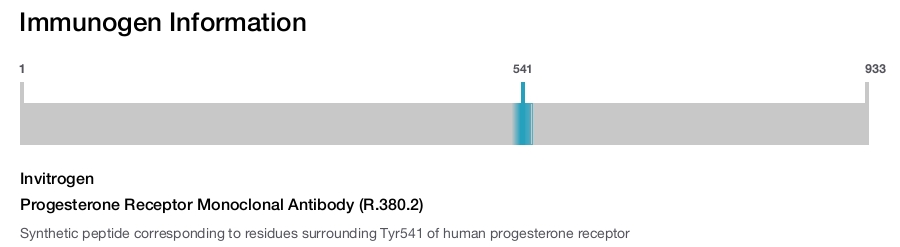 Progesterone Receptor Monoclonal Antibody (R.380.2)