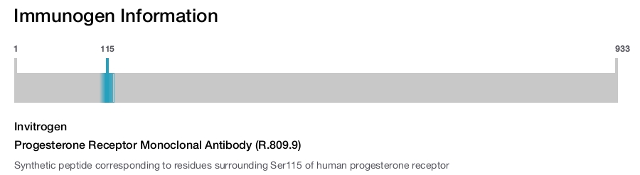 Progesterone Receptor Monoclonal Antibody (R.809.9)